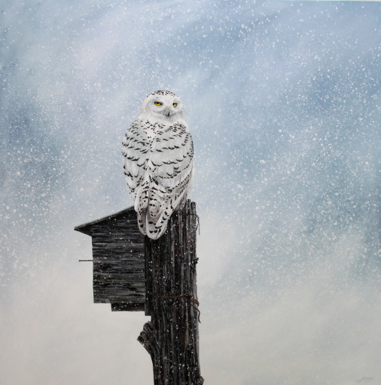 Snowy