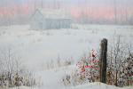 Christmas Morning