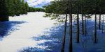 Winter Lake