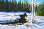 Winter Stream