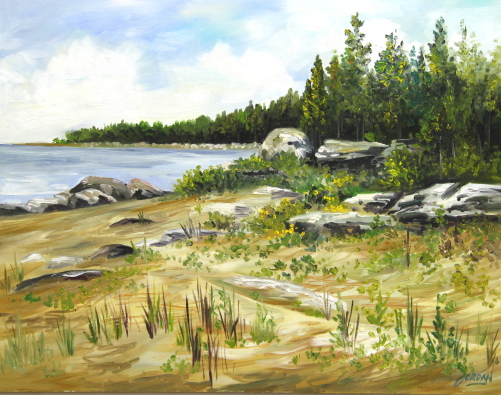 Carter Bay