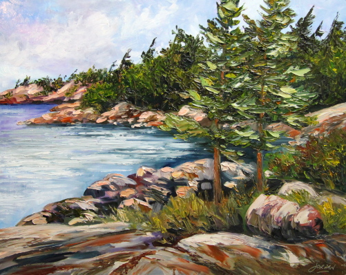 Killbear Shoreline '12