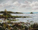 Near Barrie Island