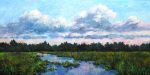 Wetland