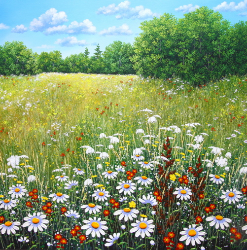 Dreamfield II