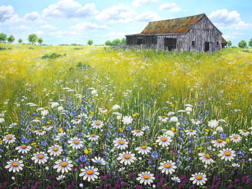 Old Barn & Butterflies