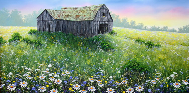 Old Barn & Chicory