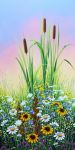 Bulrushes