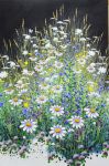 Daisies & Bugloss