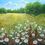 Dreamfield II