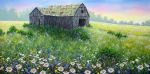 Old Barn & Chicory